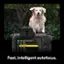 Fast, intelligent autofocus.