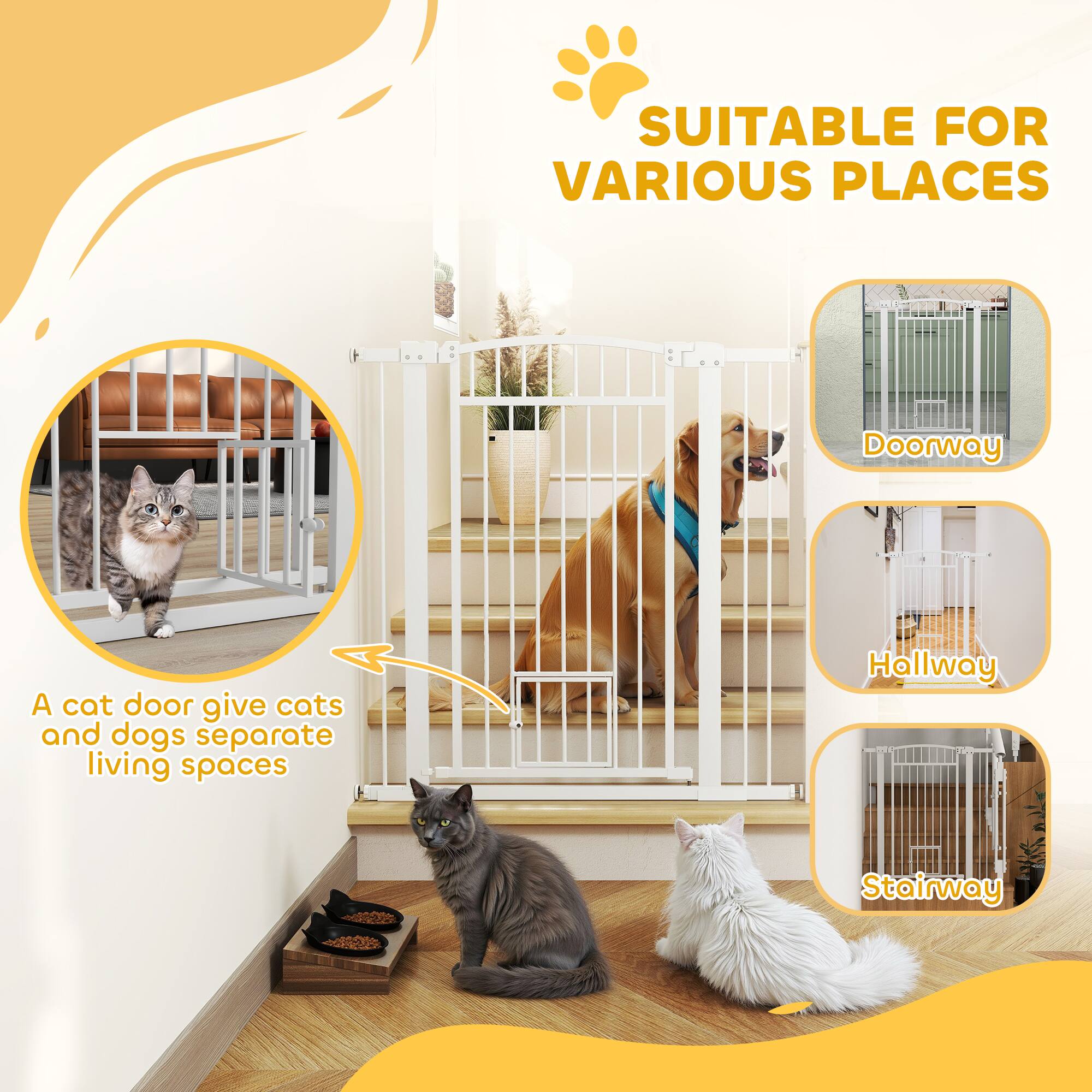 SUITABLE FOR VARIOUS PLACES

A cat door give cats and dogs separate living spaces

Doorway

Hallway

Stairway