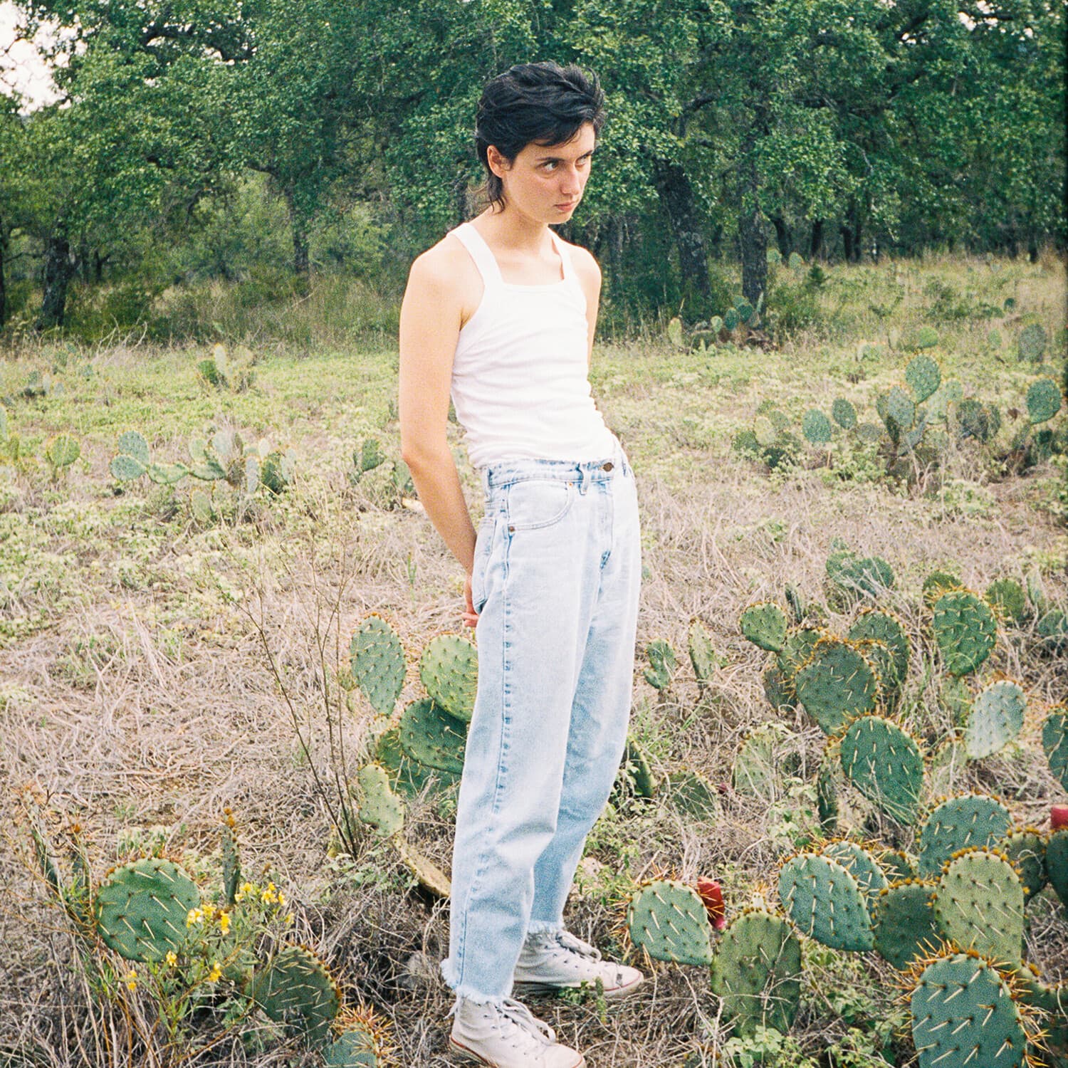 Katy Kirby - Cool Dry Place   - COMPACT DISCS [CD] price history on PriceWatchPro