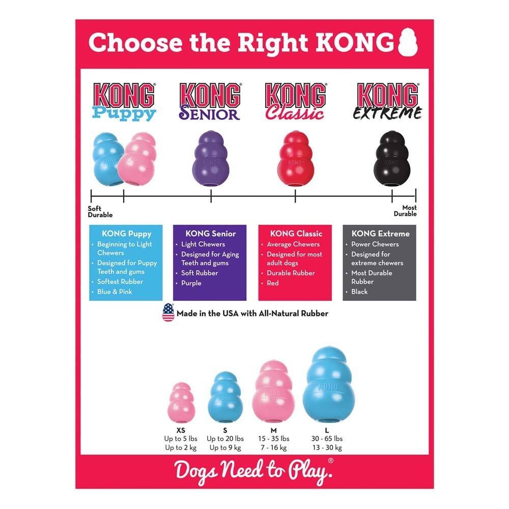 KONG Puppy Toy in Extra Small Toy Pink|Blue - Best Buy