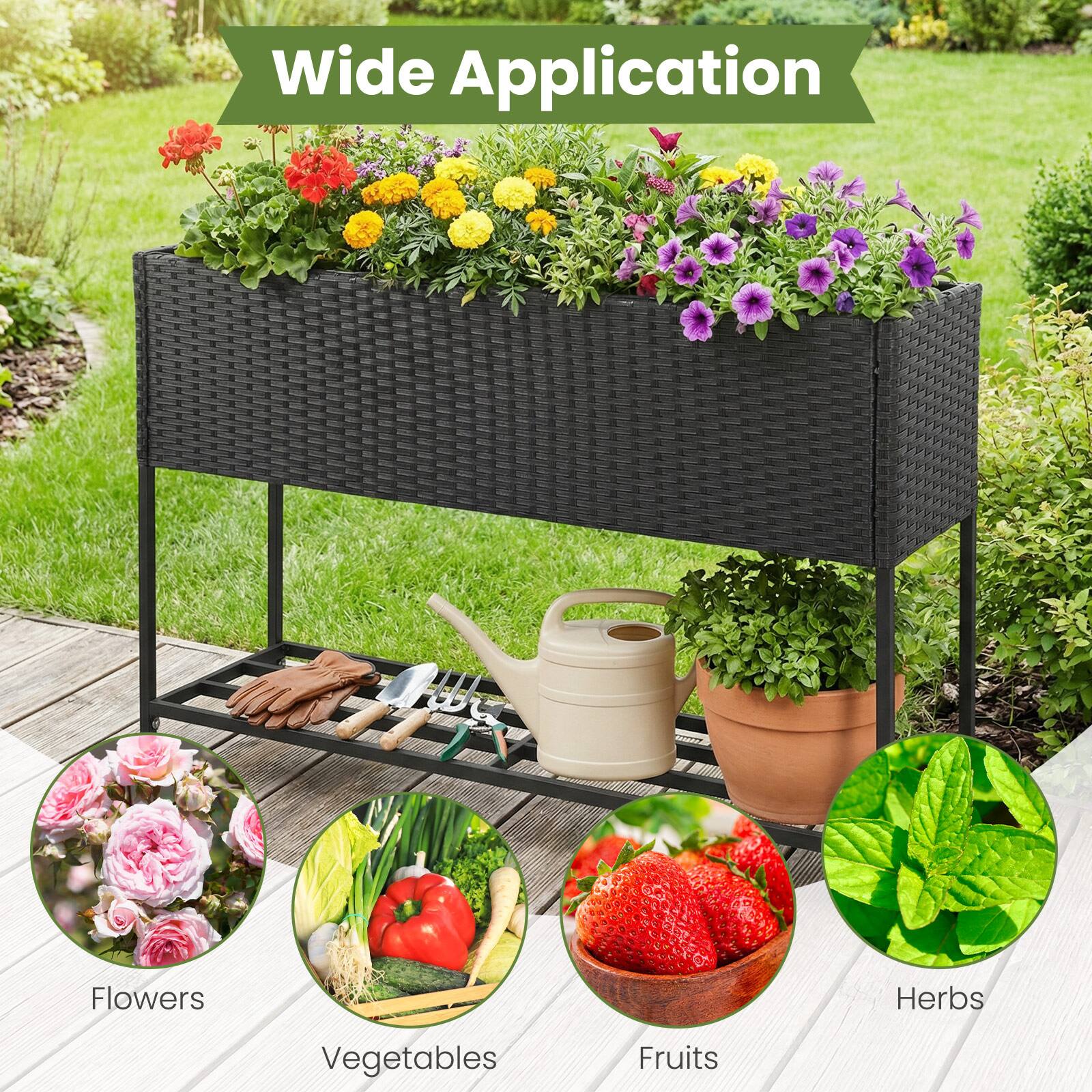 Wide Application

- Flowers
- Vegetables
- Fruits
- Herbs