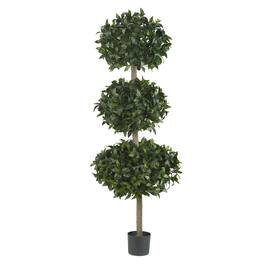 BreeBe - 69" Sweet Bay Triple Ball Tree w/2664 Lvs - Green