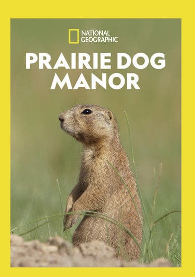 Prairie Dog Manor - DVD price history on PriceWatchPro