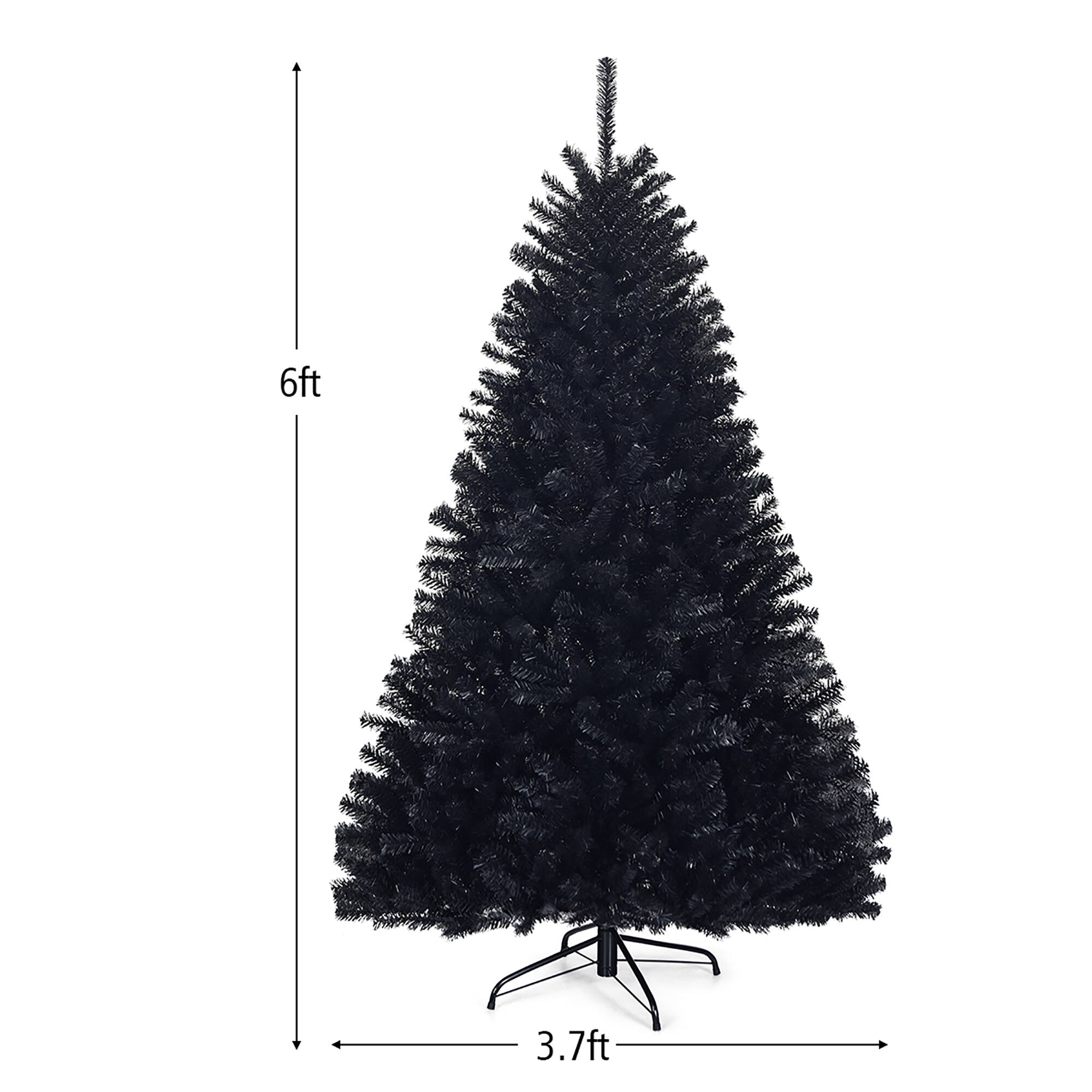 The text on the image reads "6ft 3.7ft," which means the tree is 6 feet tall and has a base of 3.7 feet.