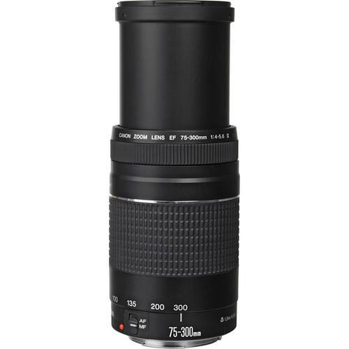 良品 Canon EF 75-300mm F4-5.6 IS USM AA332 Canon RF 75 300mm f/4 5.6 Zoom Lens Ultimate Photography