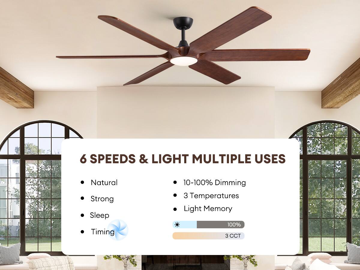 6 SPEEDS & LIGHT MULTIPLE USES

- Natural
- Strong
- Sleep
- Timing

- 10-100% Dimming
- 3 Temperatures
- Light Memory

100% 3 CCT