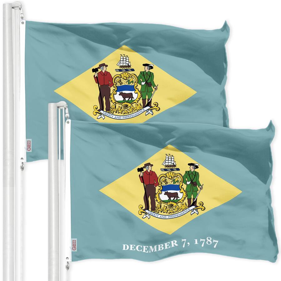 G128 2 Pack Delaware State Flag 3x5 ft Printed Polyester Indoor/Outdoor ...