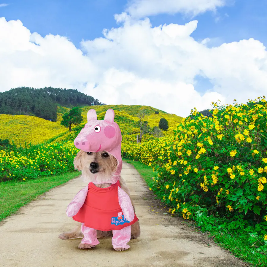 California Costumes Peppa Pig Pet Costume M Pink 4224 093M Best Buy california-costumes-peppa-pig-pet-costume-m-pink-4224-093m-best-buy