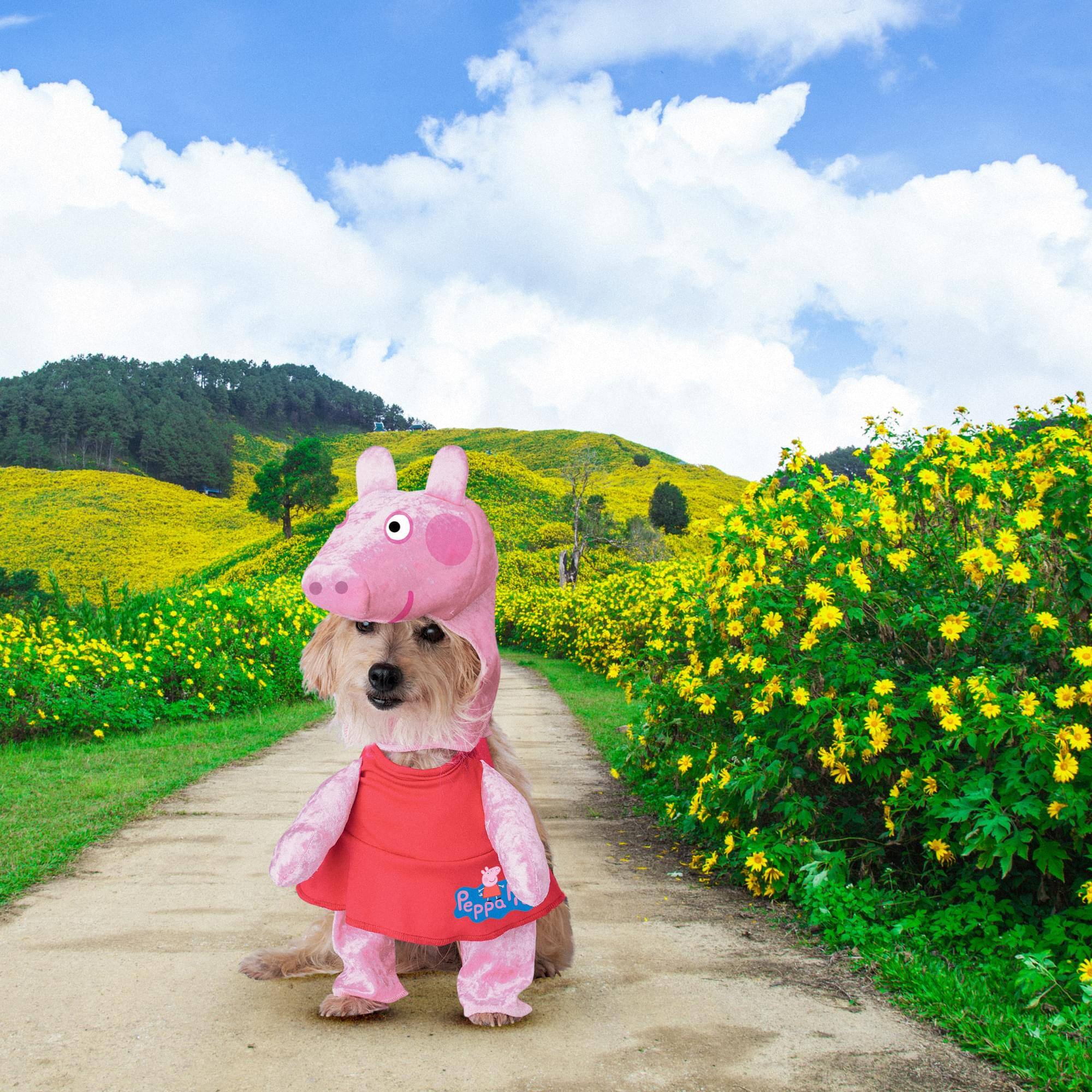 Alt View 10. California Costumes - Peppa Pig Pet Costume | S - Pink.