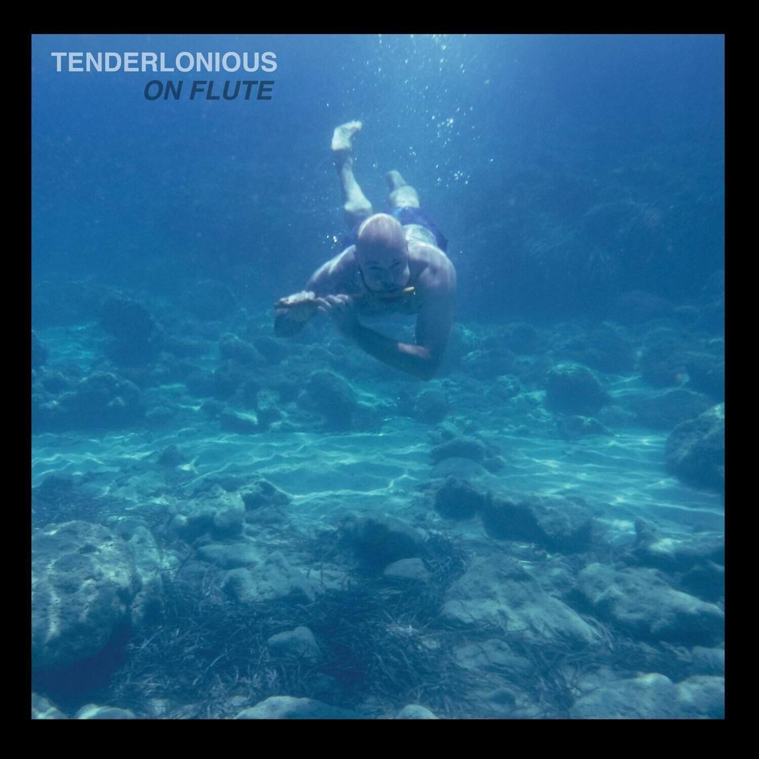 Tenderlonious - On Flute   - VINYL LP price history on PriceWatchPro
