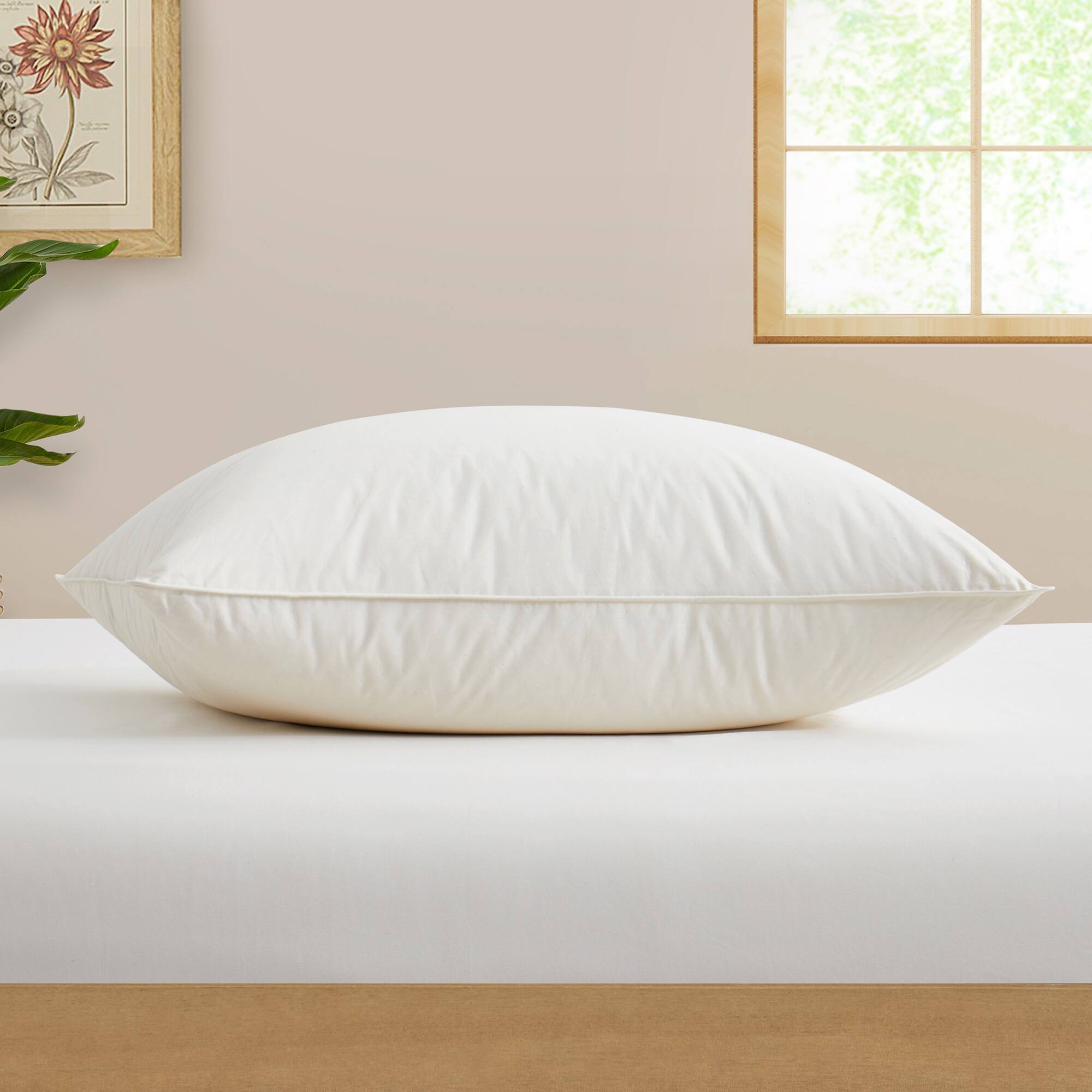 Angle. Puredown - Puredown Single Pack Luxury Natural Organic Cotton Down Bed Pillow, Standard/Queen - White.