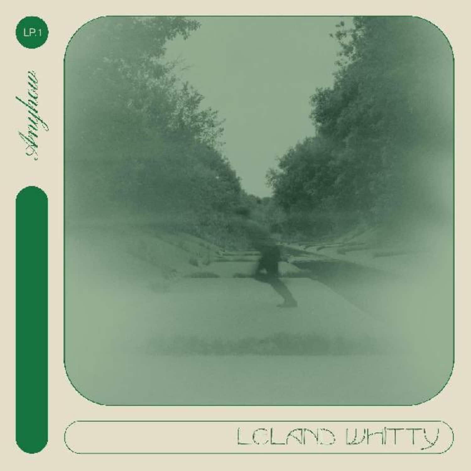 Leland Whitty - Anyhow   - VINYL LP price history on PriceWatchPro