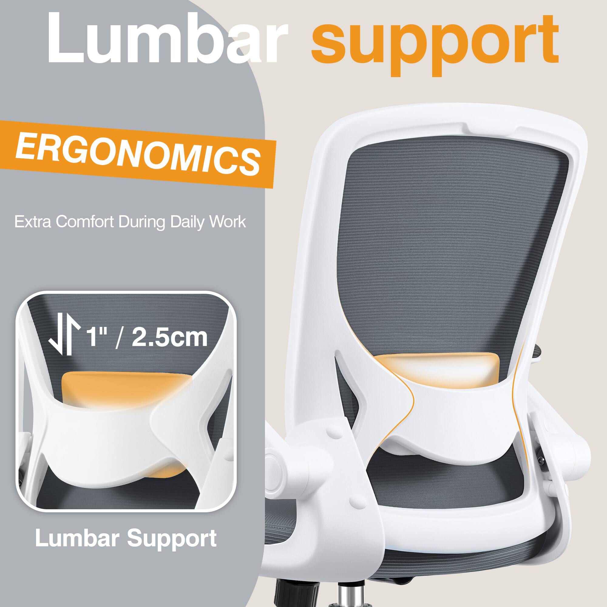 Lumbar support

ERGONOMICS

Extra Comfort During Daily Work

1" / 2.5cm Lumbar Support