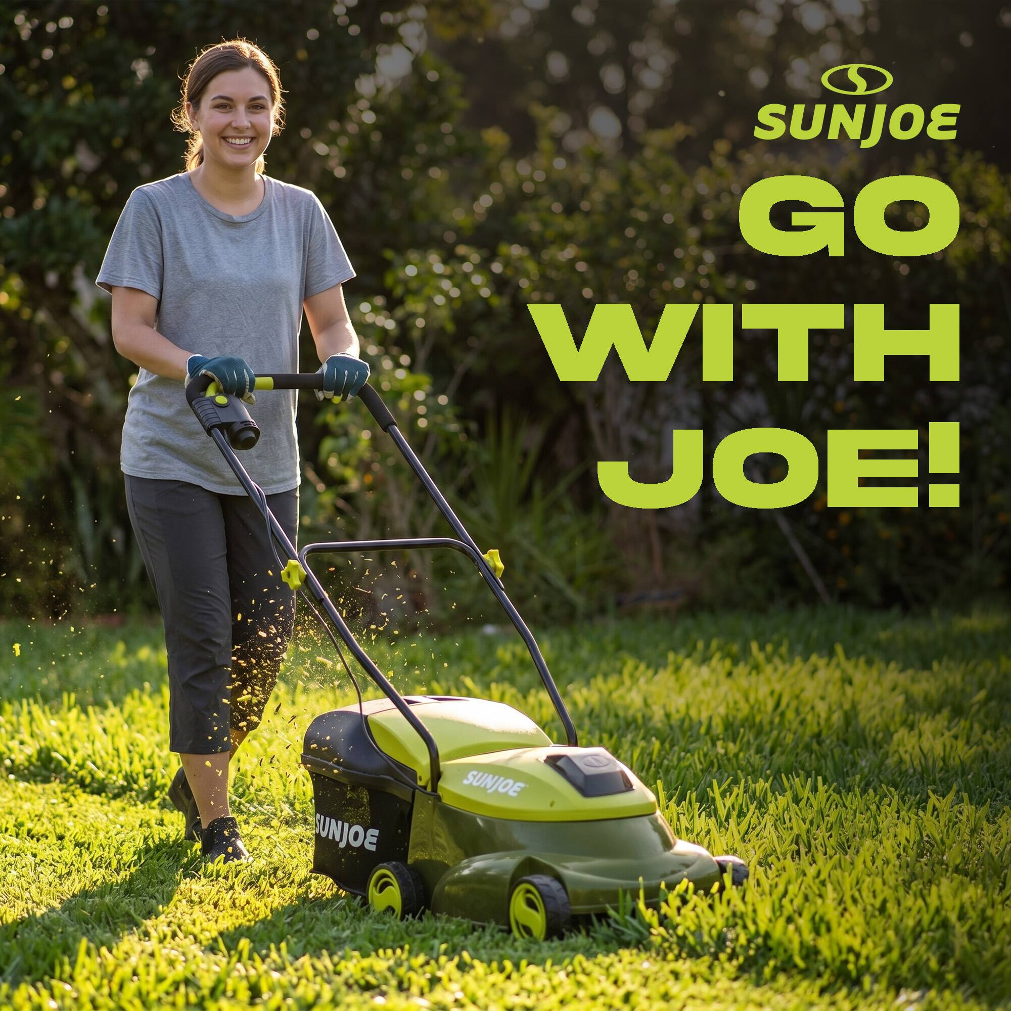 SUNJOE  
GO WITH JOE!  
SUNJOE