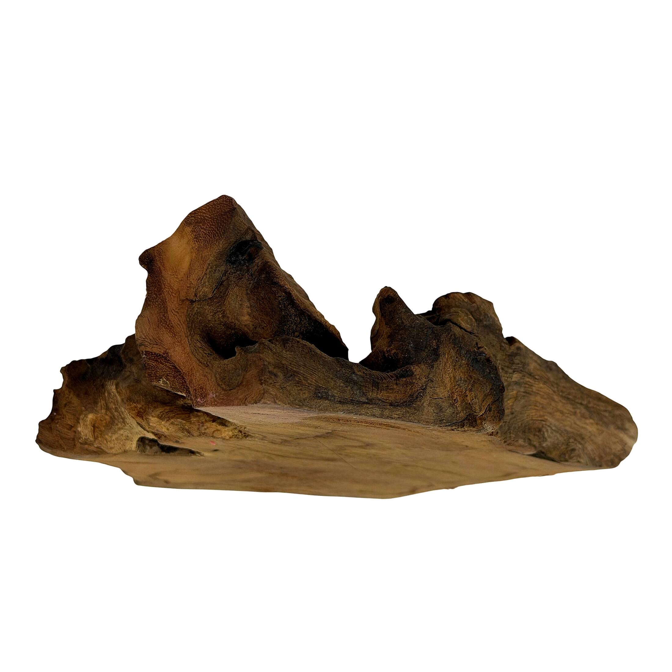 Alt View 9. Things2Die4 - Decorative Glass Vase on Driftwood Base 5.25 in Natural Wood Tabletop - Natural.