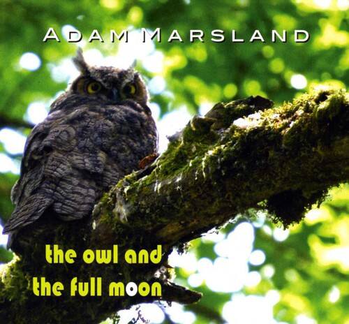 ADAM MARSLAND  
the owl and the full moon
