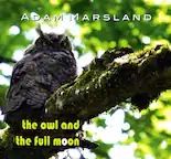 ADAM MARSLAND
the owl and the full moon