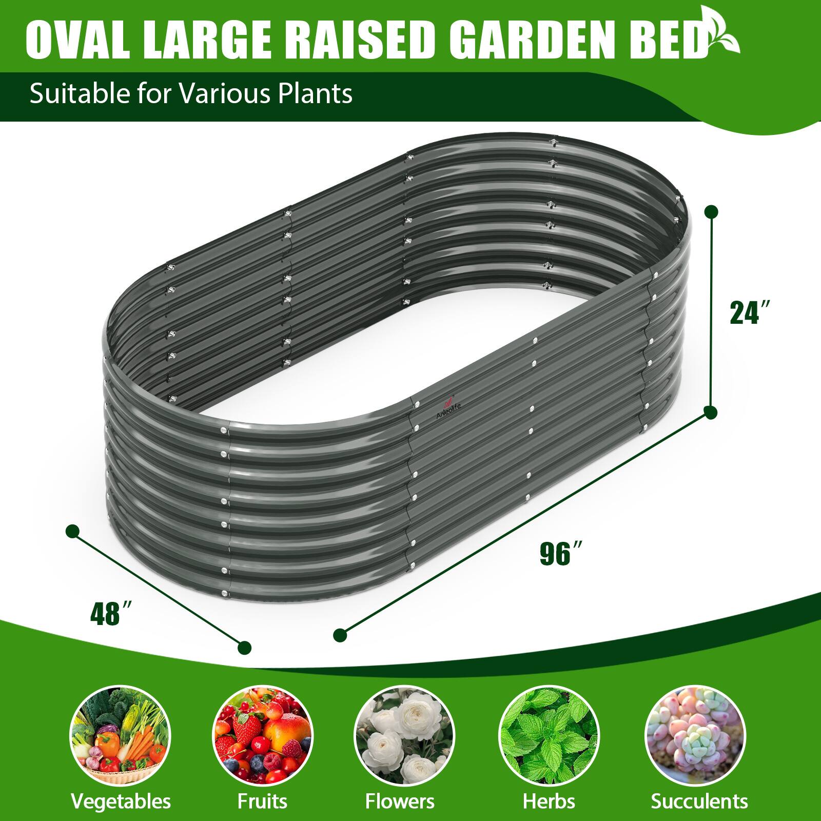 OVAL LARGE RAISED GARDEN BED  
Suitable for Various Plants  

24"  
48"  
96"  

Vegetables  
Fruits  
Flowers  
Herbs  
Succulents