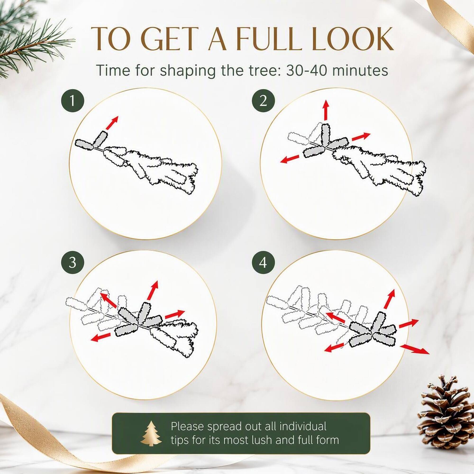 TO GET A FULL LOOK  
Time for shaping the tree: 30-40 minutes

1  
2  
3  
4  

Please spread out all individual tips for its most lush and full form