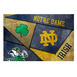 Indigo Falls - Notre Dame Fighting Irish 16" x 24" Mosaic Poster - White