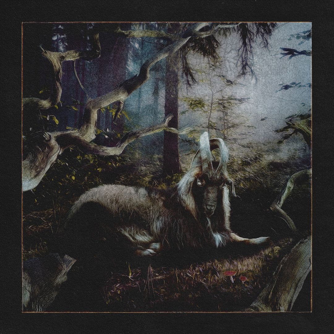 Front. Feet of Clay [LP].