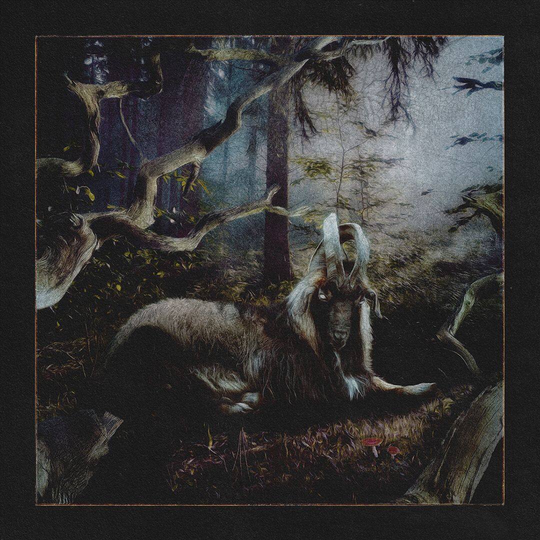 Front. Feet of Clay [LP].