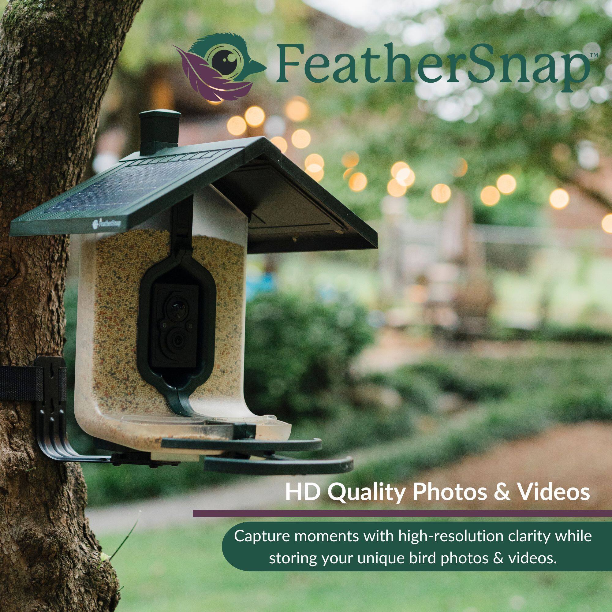 FeatherSnap HD Quality Photos & Videos  
Capture moments with high-resolution clarity while storing your unique bird photos & videos.