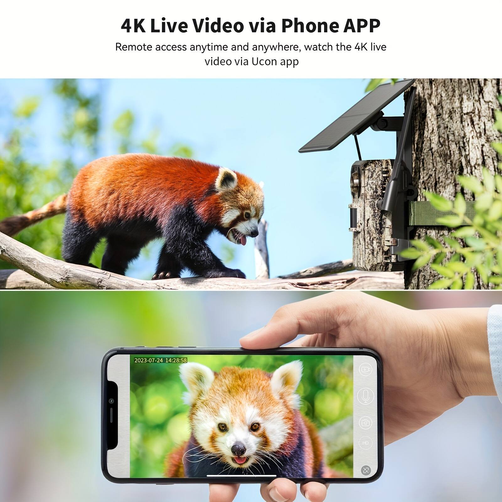 4K Live Video via Phone APP
Remote access anytime and anywhere, watch the 4K live video via Ucon app
2023-07-24 14:28:58