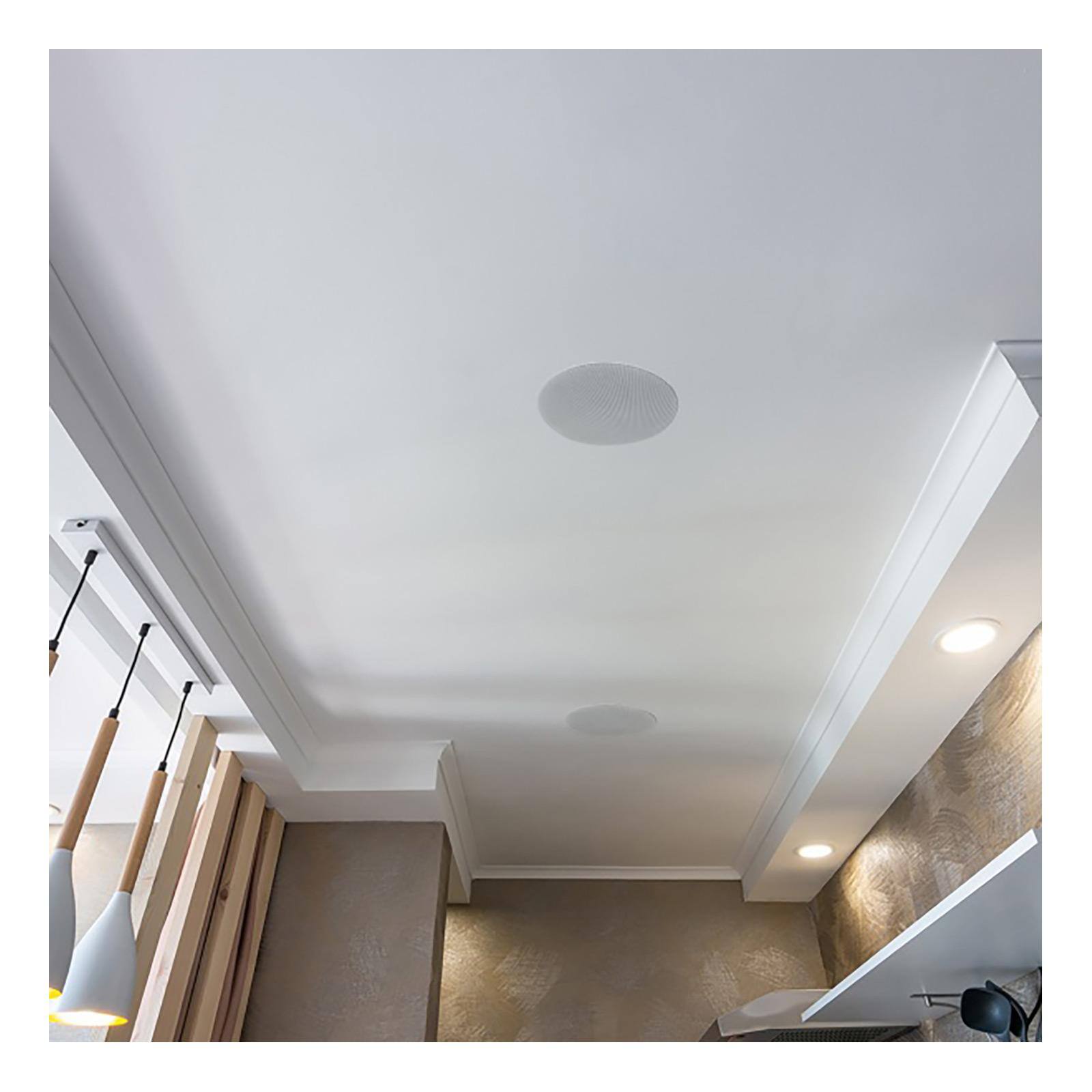 Alt View 3. Lithe Audio - 6.5 In. 2-way Passive Slave Ceiling Speaker (Single) - Black.