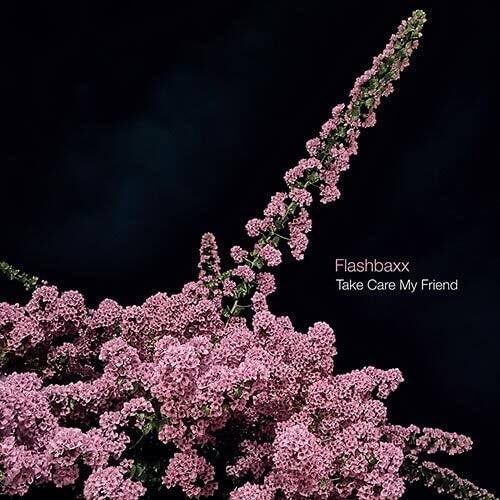 Take Care My Friend [LP] [VINYL] price history on PriceWatchPro