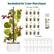 Included In Your Purchase
16 Plant YCubes
Plant Food
16 YPods