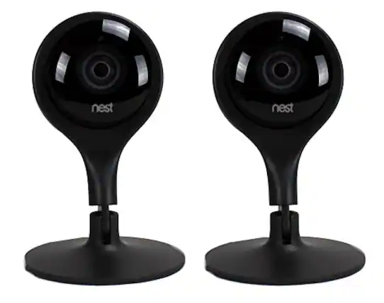 nest nest