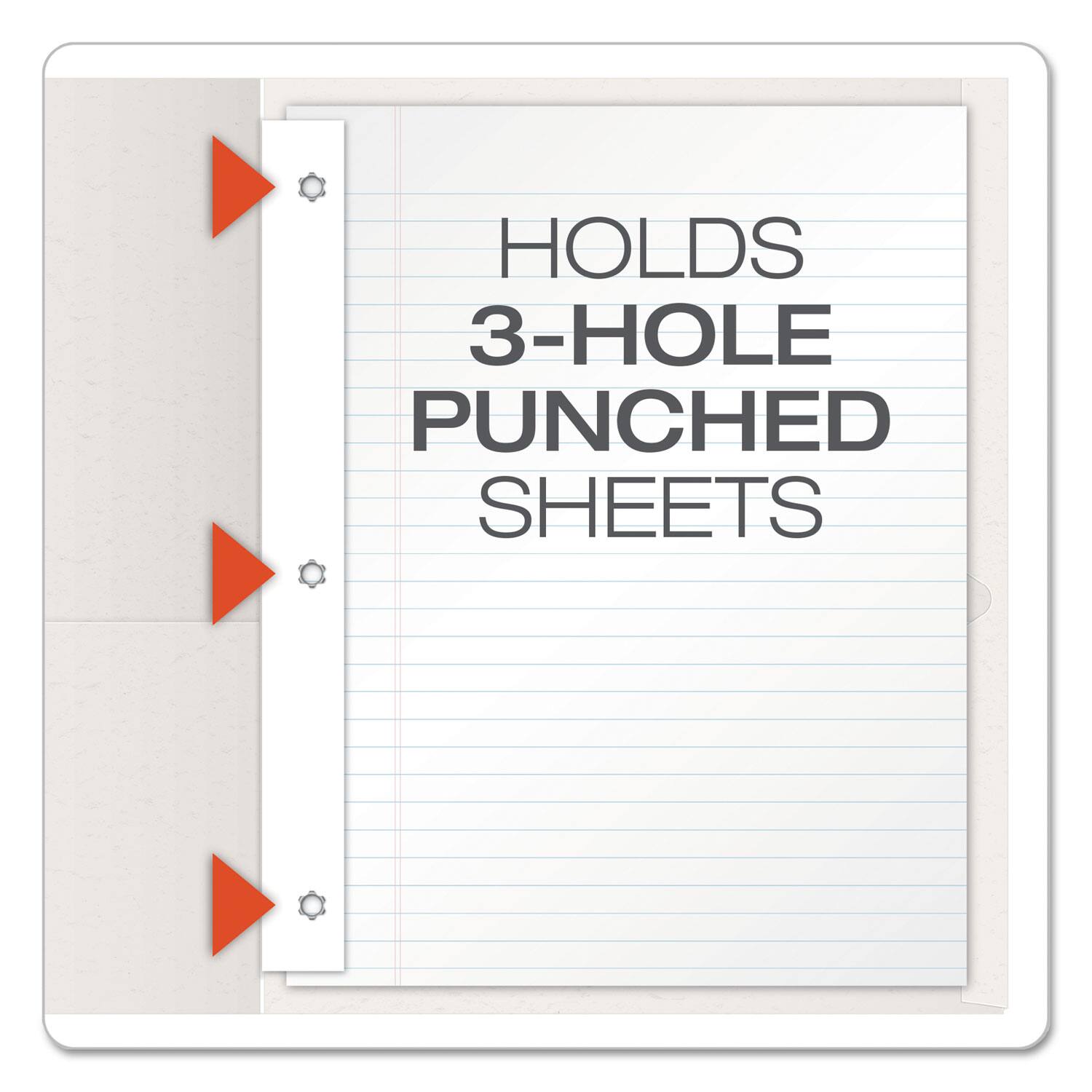 HOLDS  
3-HOLE PUNCHED SHEETS
