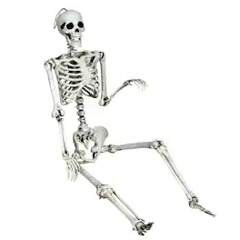Gymax - Full Body Halloween Skeleton 5.4ft Life Size w/ Hanging Rope Movable Joints - White