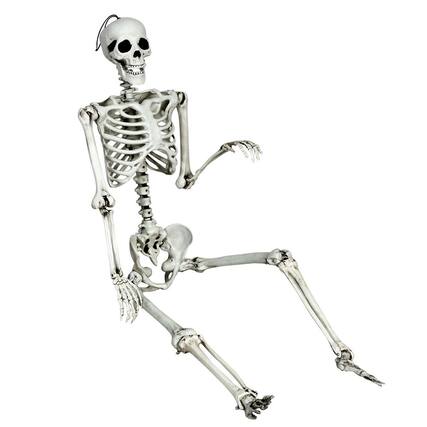Front. Gymax - Gymax Full Body Halloween Skeleton 5.4ft Life Size w/ Hanging Rope Movable Joints - White.