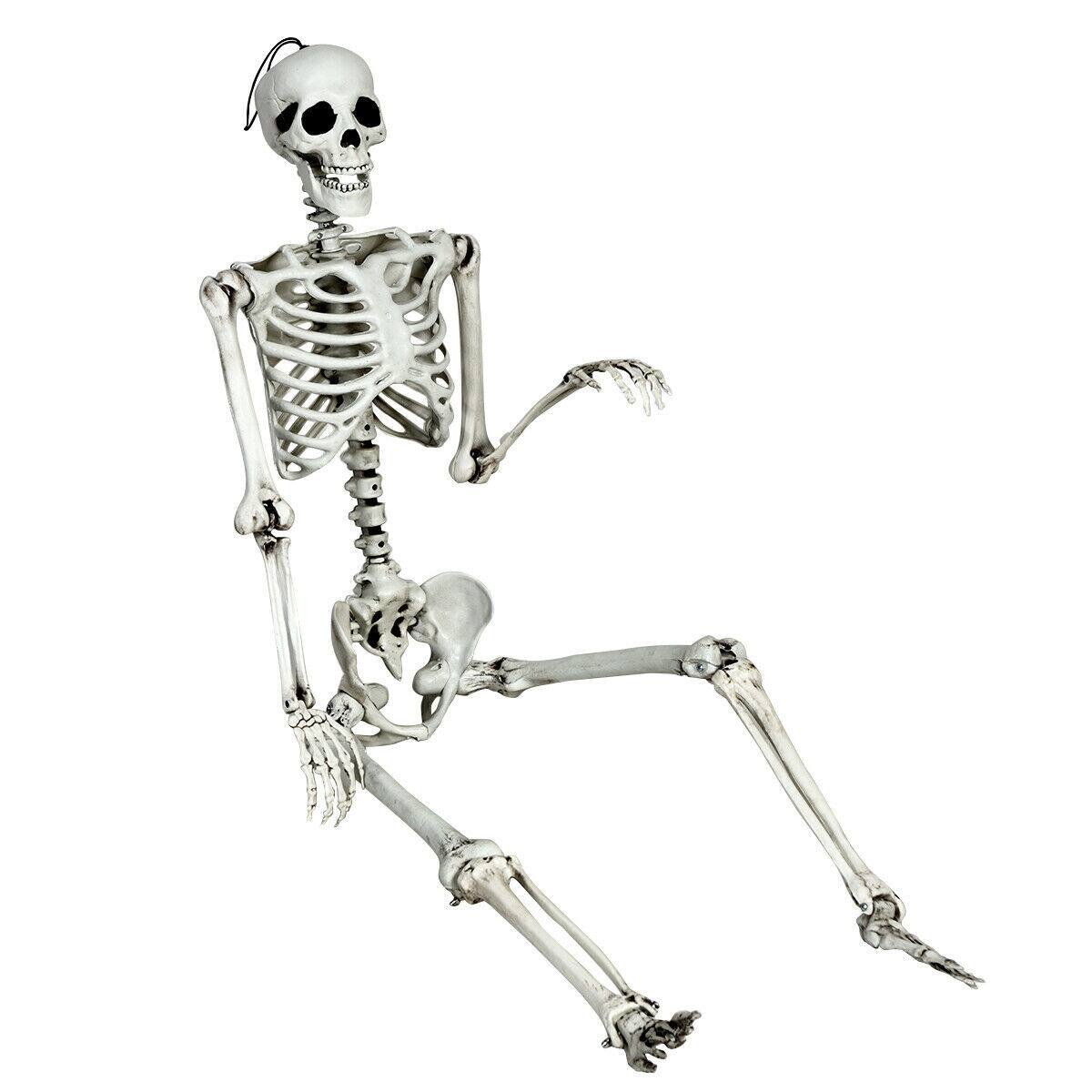Front. Gymax - Gymax Full Body Halloween Skeleton 5.4ft Life Size w/ Hanging Rope Movable Joints - White.