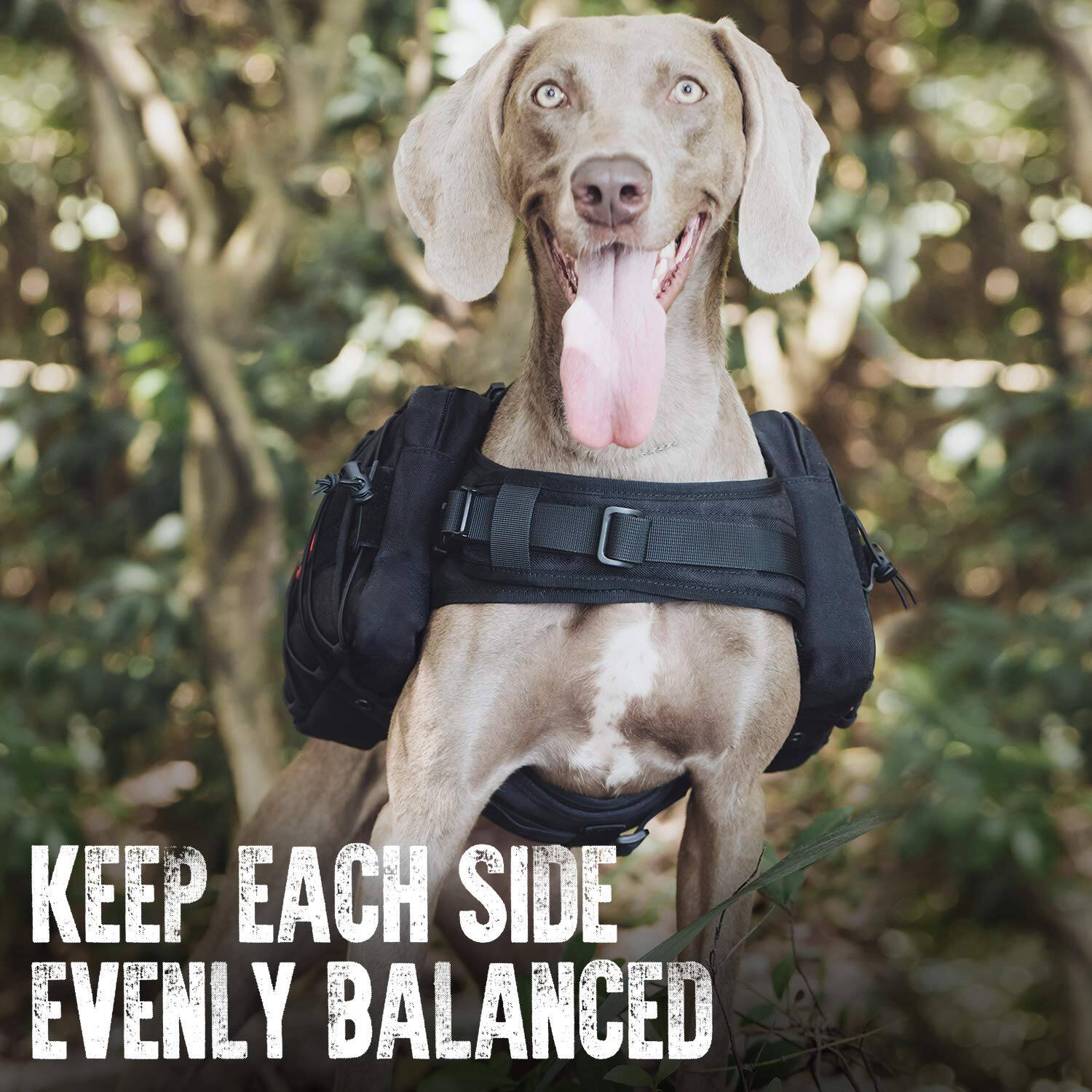 KEEP EACH SIDE EVENLY BALANCED