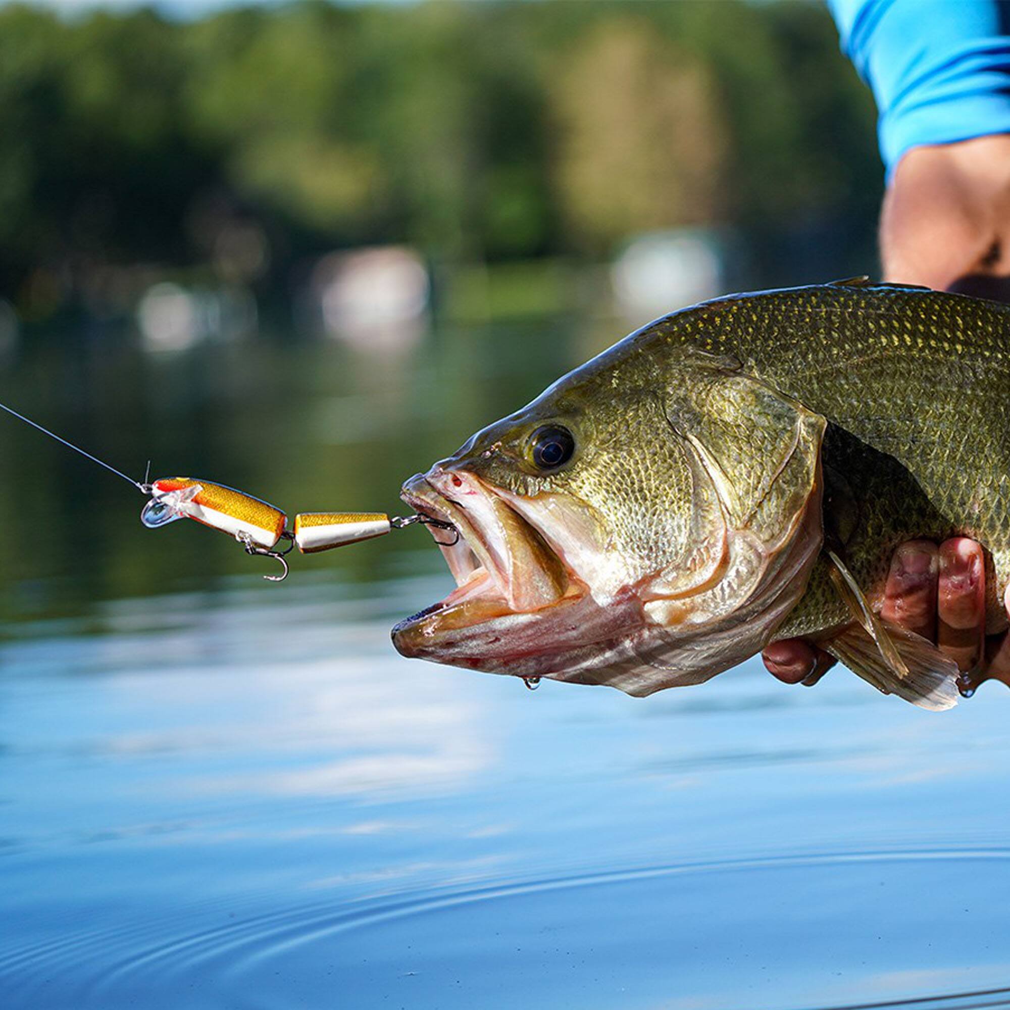 Alt View 3. Rapala - Rapala Jointed 05,  Fishing Lure, Blue - Blue.
