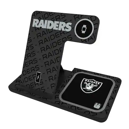 RAIDERS