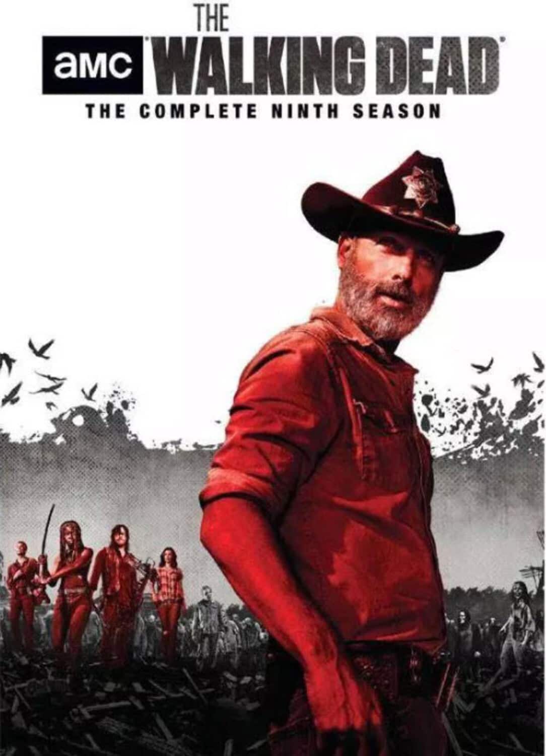 Front. The Walking Dead: The Complete Ninth Season   - DVD.