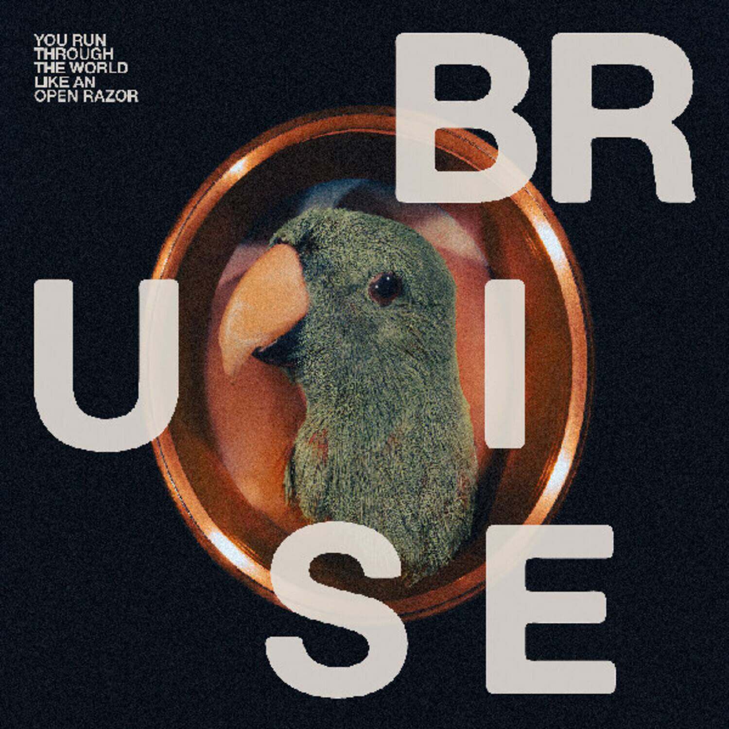 Bruise Blood - You Run Through the World Like An Open Razor   - VINYL LP price history on PriceWatchPro