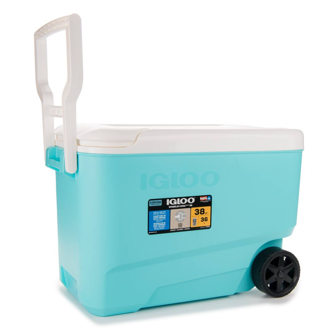 IGLOO HSC FEBCHN : IGLOO - - -TBE n - - - --- - - I - - - 38 F C - - - - - : 36 - I 53 i - -- : -  - -R - I : mL.