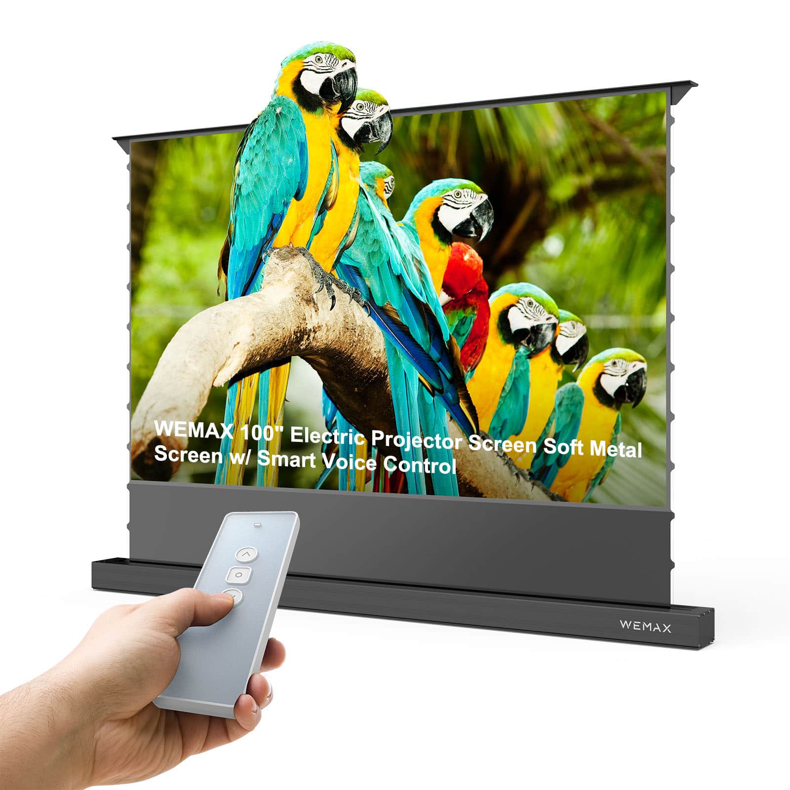 WEMAX - 100" Motorized Floor Rising ALR Projector Screen w/ Smart Voice Control, 4K UHD 1.5 Gain Soft Metal Screen - Gray