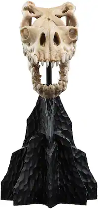 Weta Workshop - Polystone - The Lord of the Rings Trilogy - Skull of a Fell Beast Polystone Statue - COLLECTIBLES - Multicolor