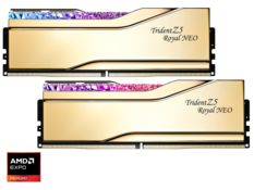 TridentZ5 Royal NEO
AMDA EXPO
MEMORY