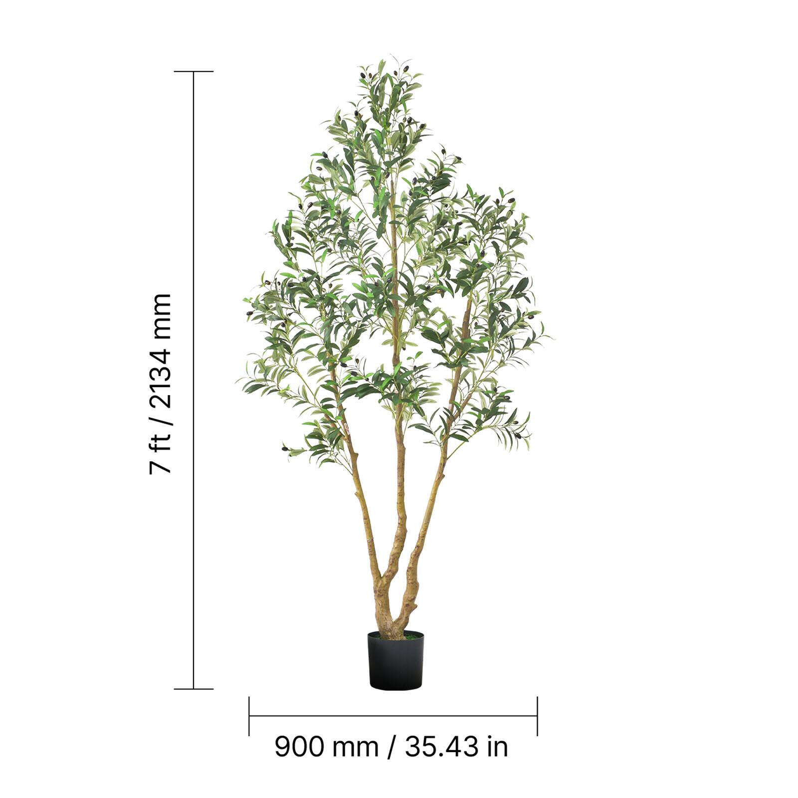 7 ft 2134 mm  
900 mm / 35.43 in