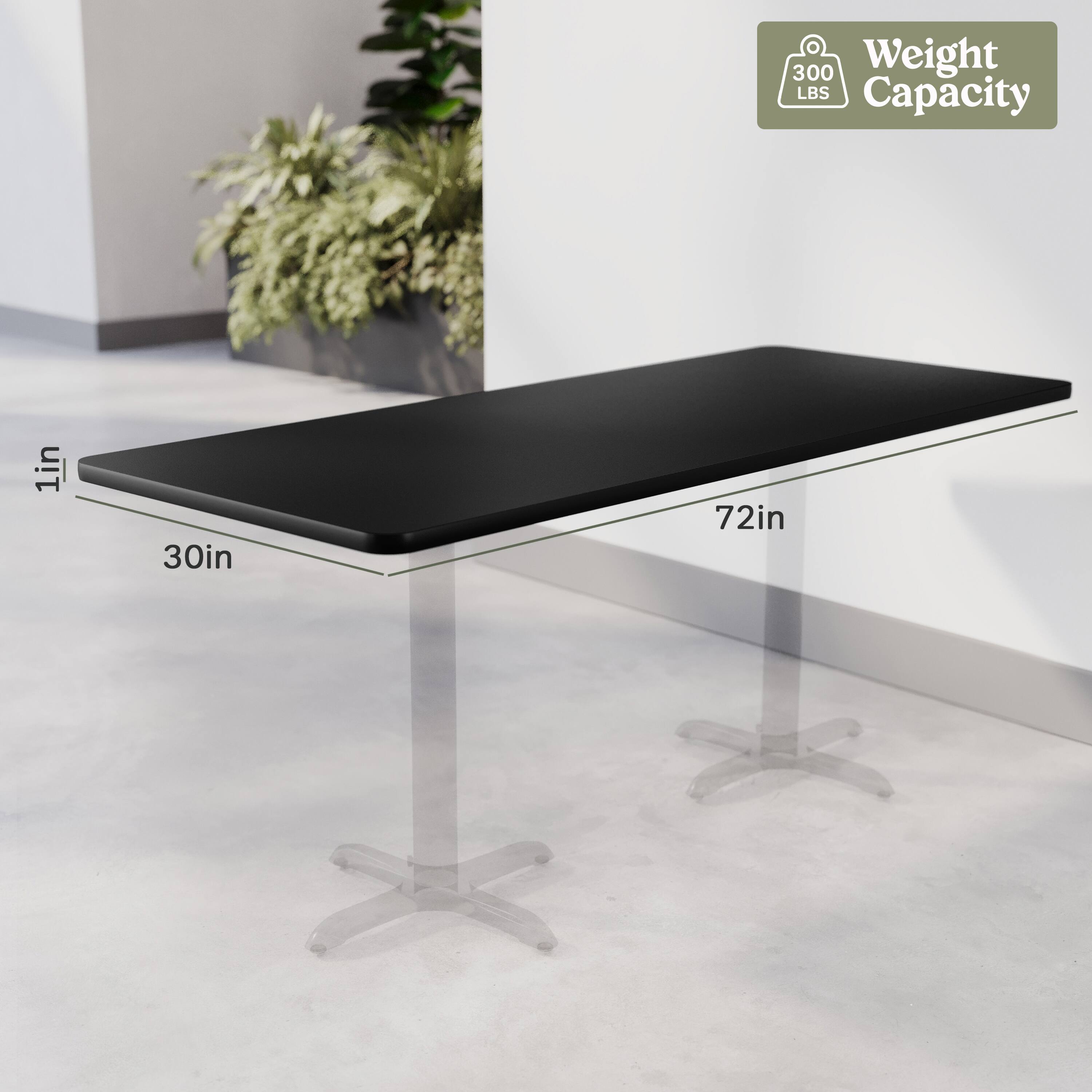 300 Weight LBS Capacity  
1in  
30in  
72in