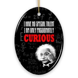 OrnamentallyYou - Albert Einstein Thought Provoking Quote Passionately Curious Ceramic Ornament Gift and Decor - Multi-colored