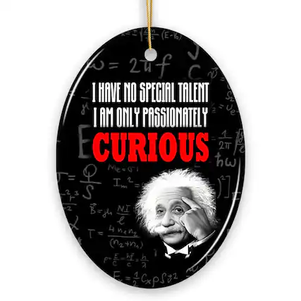 I have no special talent
I am only passionately
CURIOUS