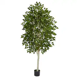 BreeBe - 6' Birch Tree - Green
